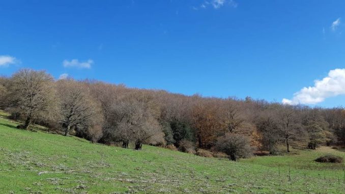 Il Parco sottratto dalla criminalità