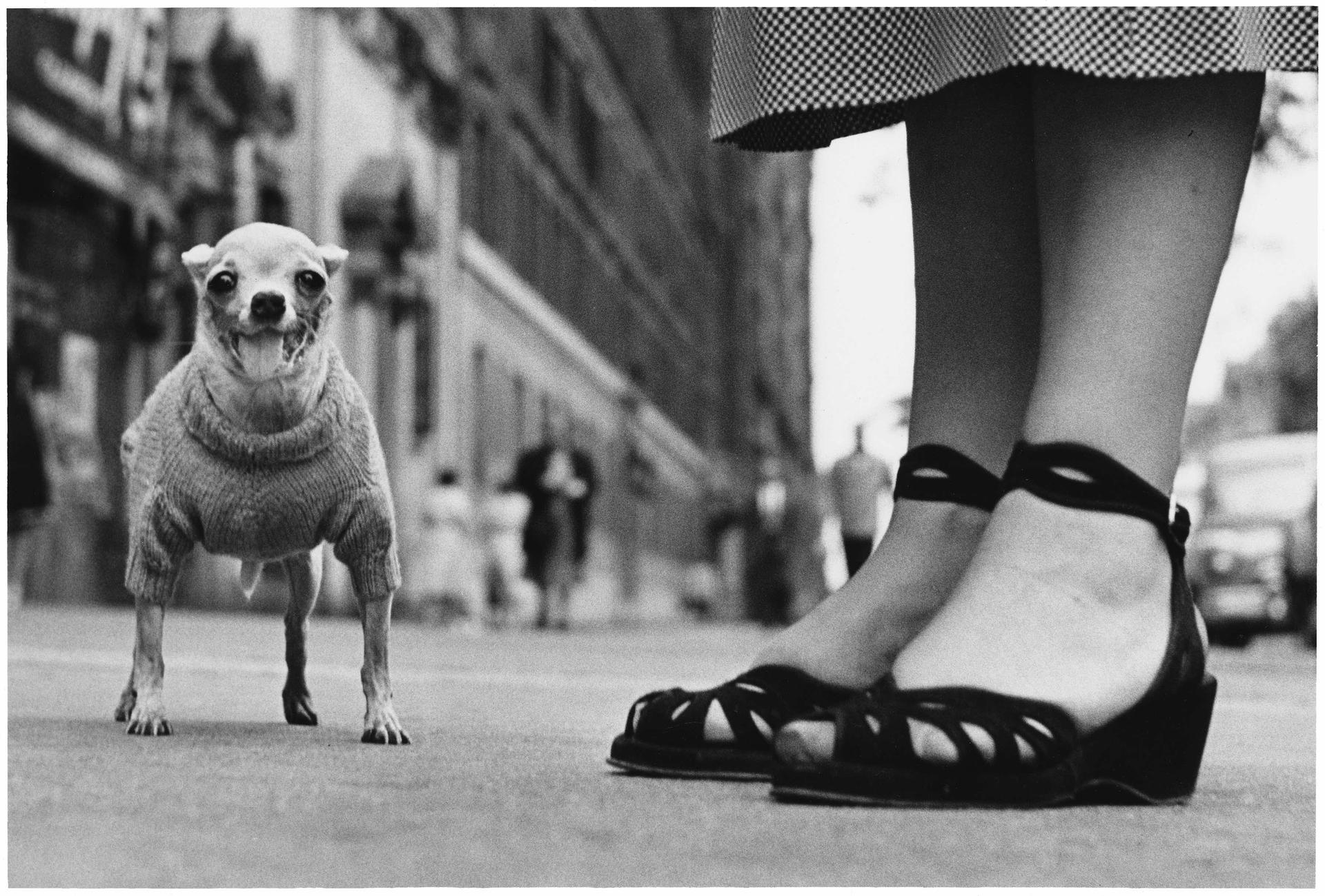 USA. New York City. 1946_credits Elliott Erwitt