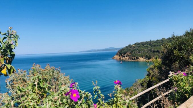 Cala Violina(0)