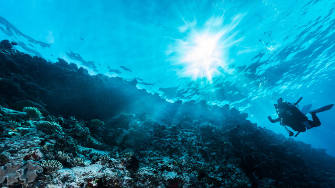 Diving Toscana