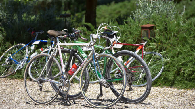 Eroica Montalcino 2025 - foto Aurora Bandinelli