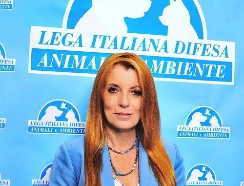 On. Brambilla (002)