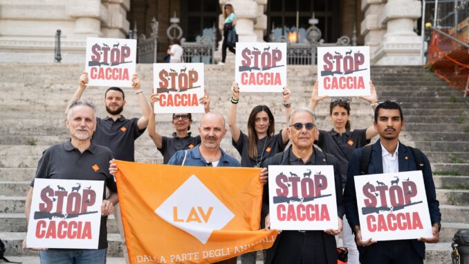 STOP CACCIA