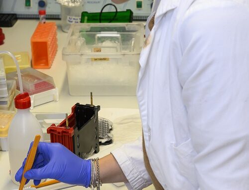 Laboratorio FIF (002)