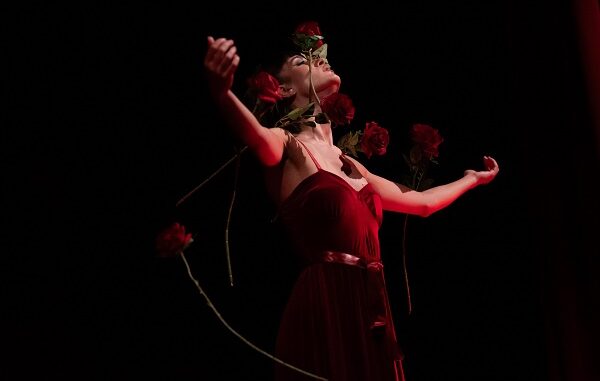 Create Danza (002)