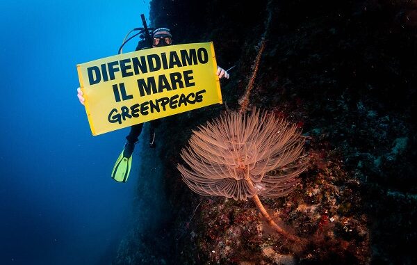 Underwater Documentation in Giannutri Island