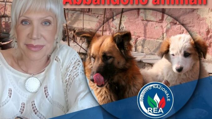 Abbandono degli animali le Asl veterinarie devono essere sanzionabili per mancati controlli (002)