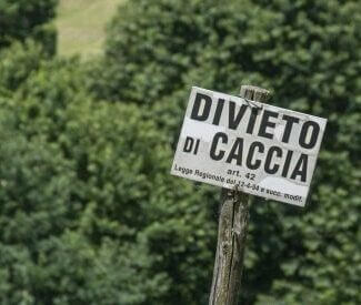 caccia_675_675x275-aspect-ratio-720-610-3