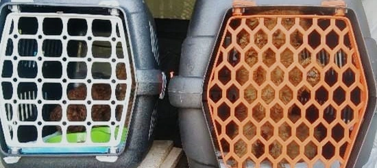 cuccioli-brescia-550x245