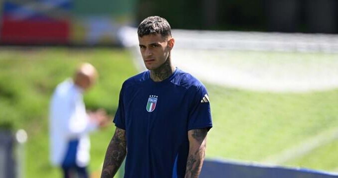Scamacca