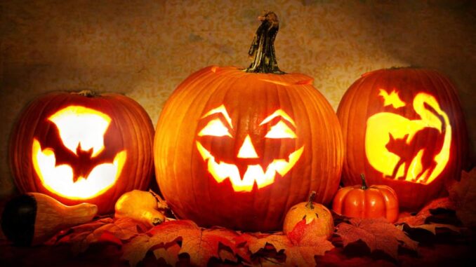 xr:d:DAFG3qaeE1w:385,j:39016297701,t:22102514