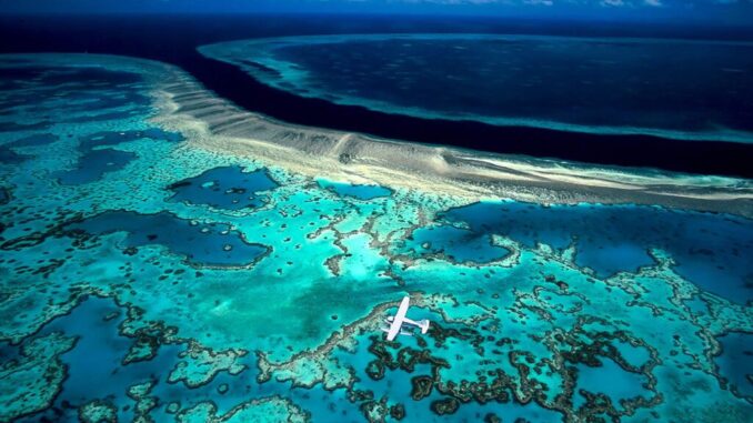 david doubilet natonal geographic