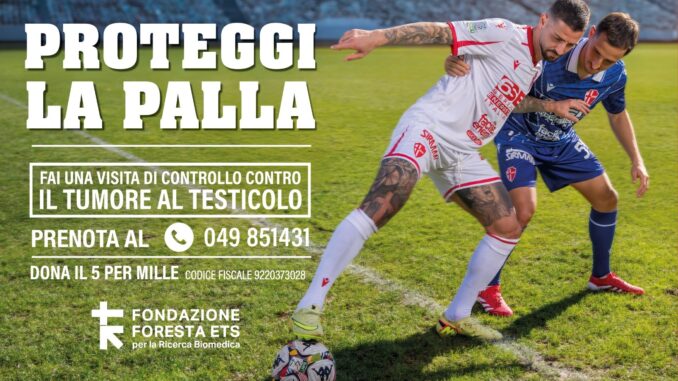 tumore testicolo
