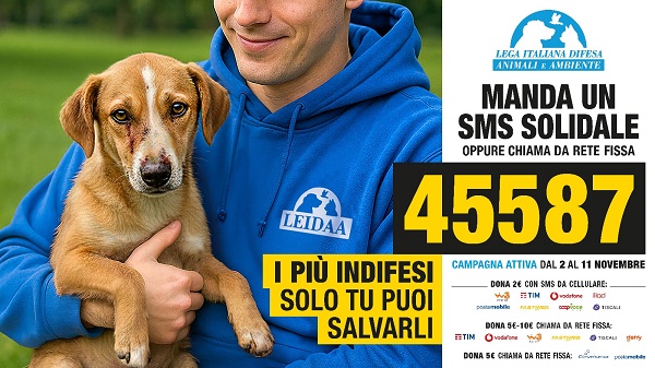 Smssolidale-orizzontale (002)