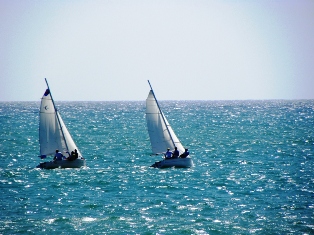 ph_404016.jpg