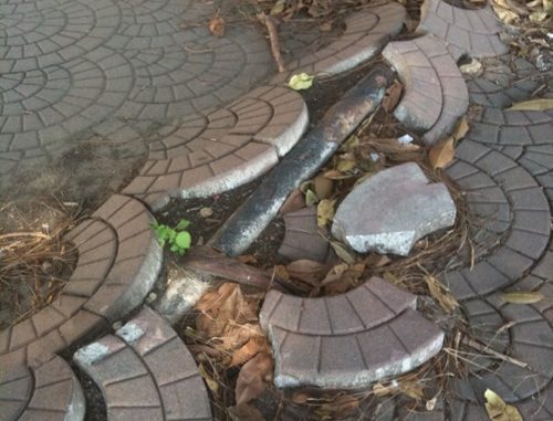 ph_405216.jpg