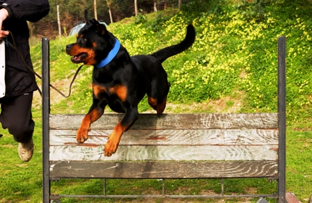 ph_405892.jpg
