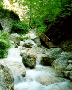 ph_406208.jpg