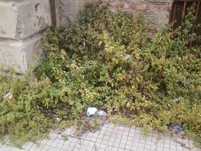 ph_406800.jpg