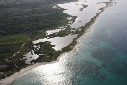 ph_407465.jpg