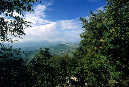 ph_408086.jpg