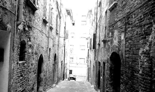ph_408137.jpg