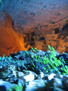 ph_408232.jpg