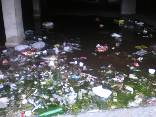 ph_409072.jpg