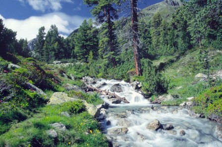 ph_409128.jpg