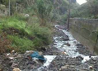 ph_409963.jpg