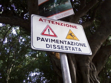 ph_410048.jpg