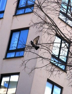 ph_410210.jpg