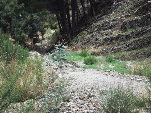 ph_410459.jpg