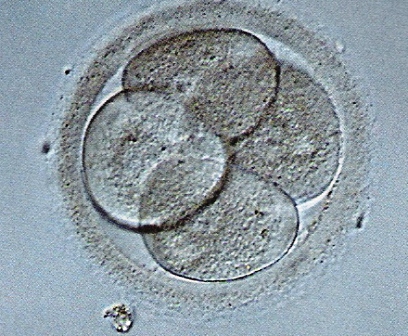 ph_410873.jpg