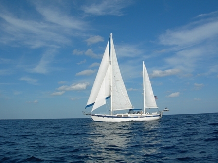 ph_411306.jpg