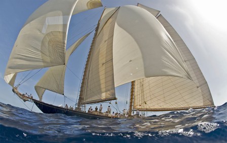ph_411342.jpg