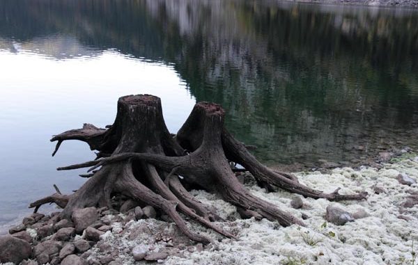 ph_412289.jpg