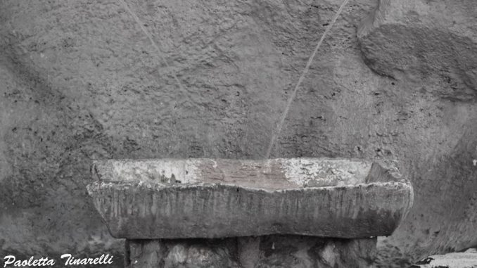 ph_414030.jpg