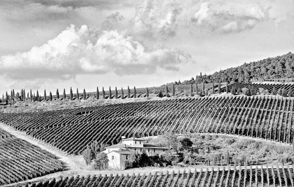 ph_419680.jpg