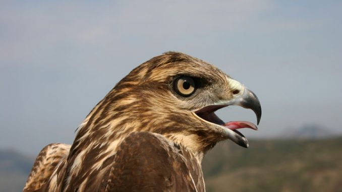 ph_419839.jpg