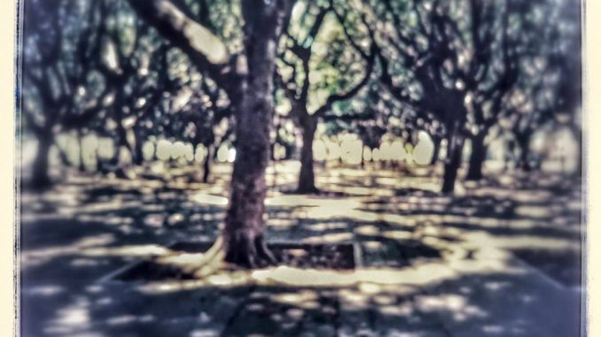 ph_423818.jpg