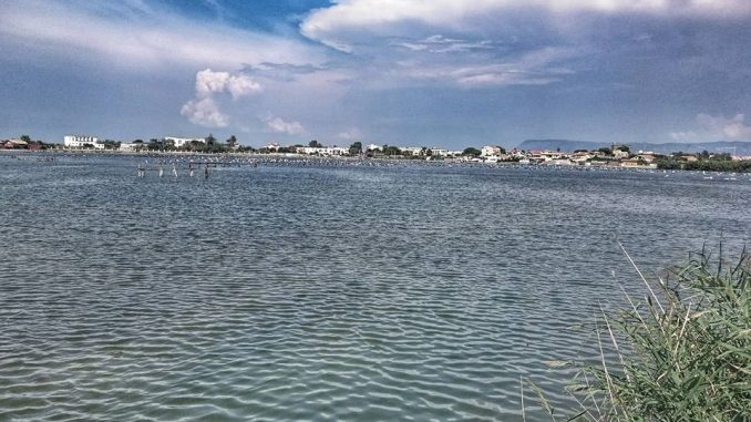 ph_428085.jpg