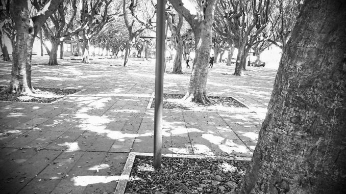 ph_428100.jpg