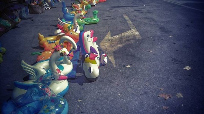 ph_428504.jpg