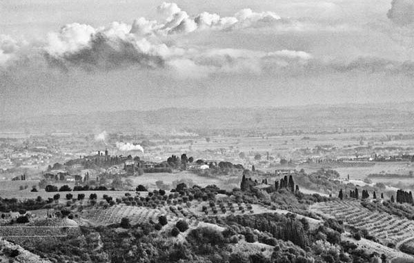 ph_429402.jpg