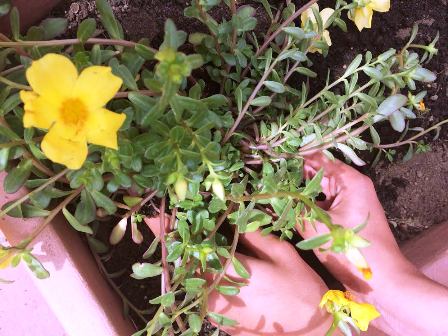 ph_429497.jpg