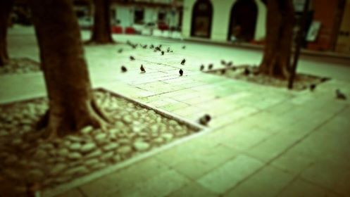 ph_431708.jpg