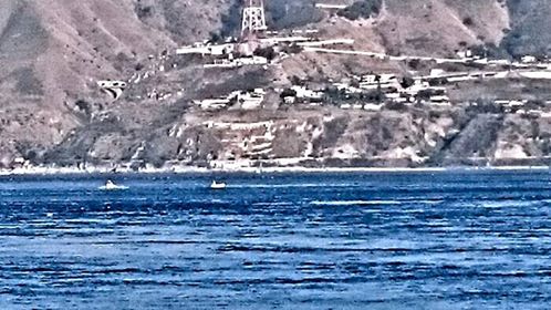 ph_431799.jpg