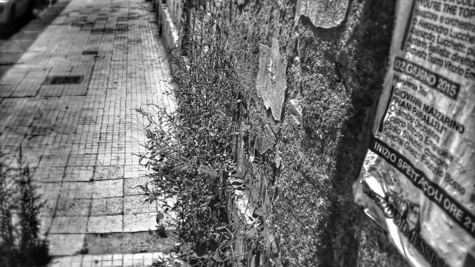 ph_432114.jpg