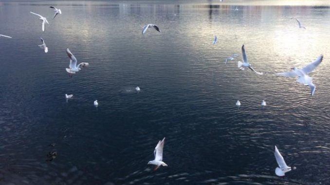 ph_432523.jpg